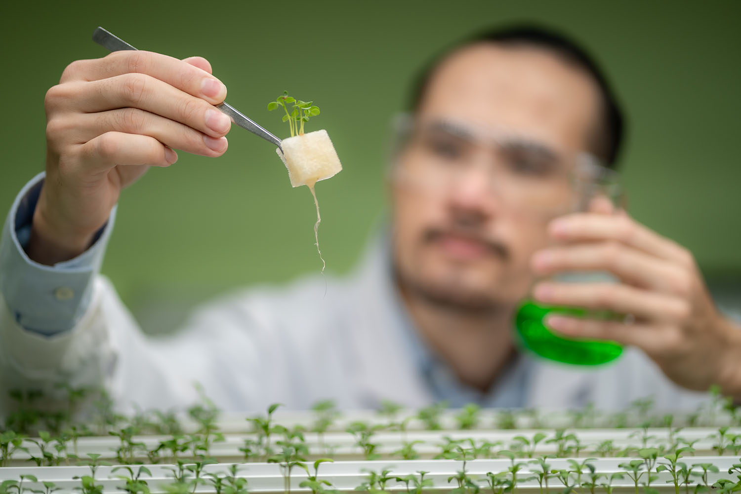 Professional,Agriculture,Scientist,Working,To,Research,On,A,Organic,Vegetable